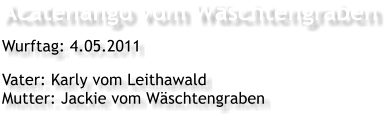 Acatenango vom Wschtengraben Wurftag: 4.05.2011  Vater: Karly vom Leithawald Mutter: Jackie vom Wschtengraben