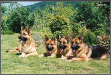 Celina, Bonnie und Connie